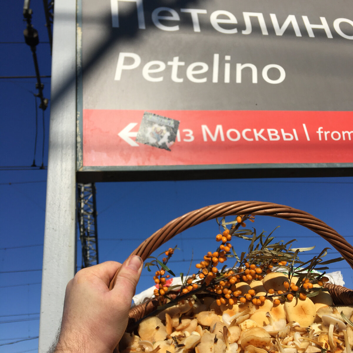 Станция Петелино