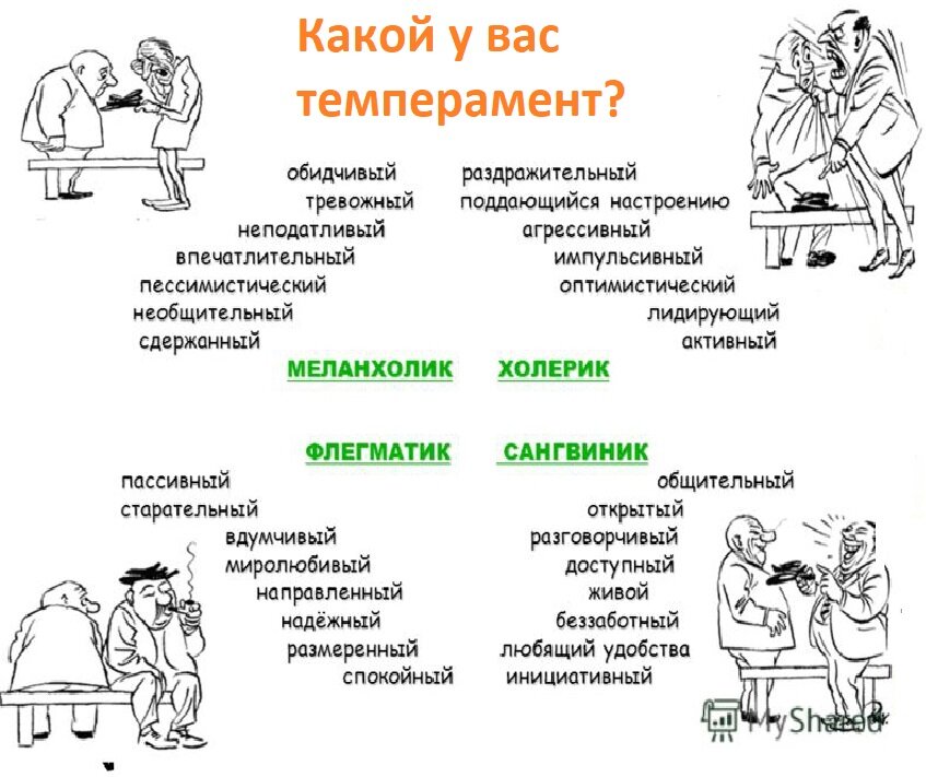 Фото из открытого источника Яндекс