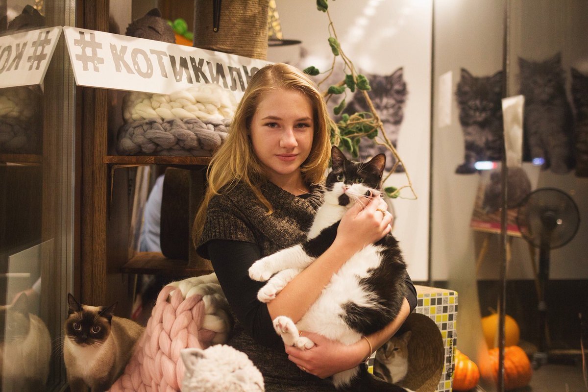 Котокафе в москве