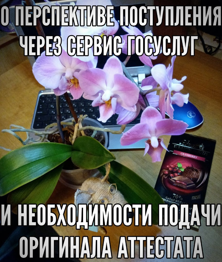 обложка статьи подготовлена автором
