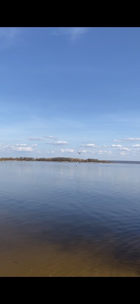 Автор - Ишалеева Александра Николаевна, ученица 8Б класса, МБОУ "СОШ №17".