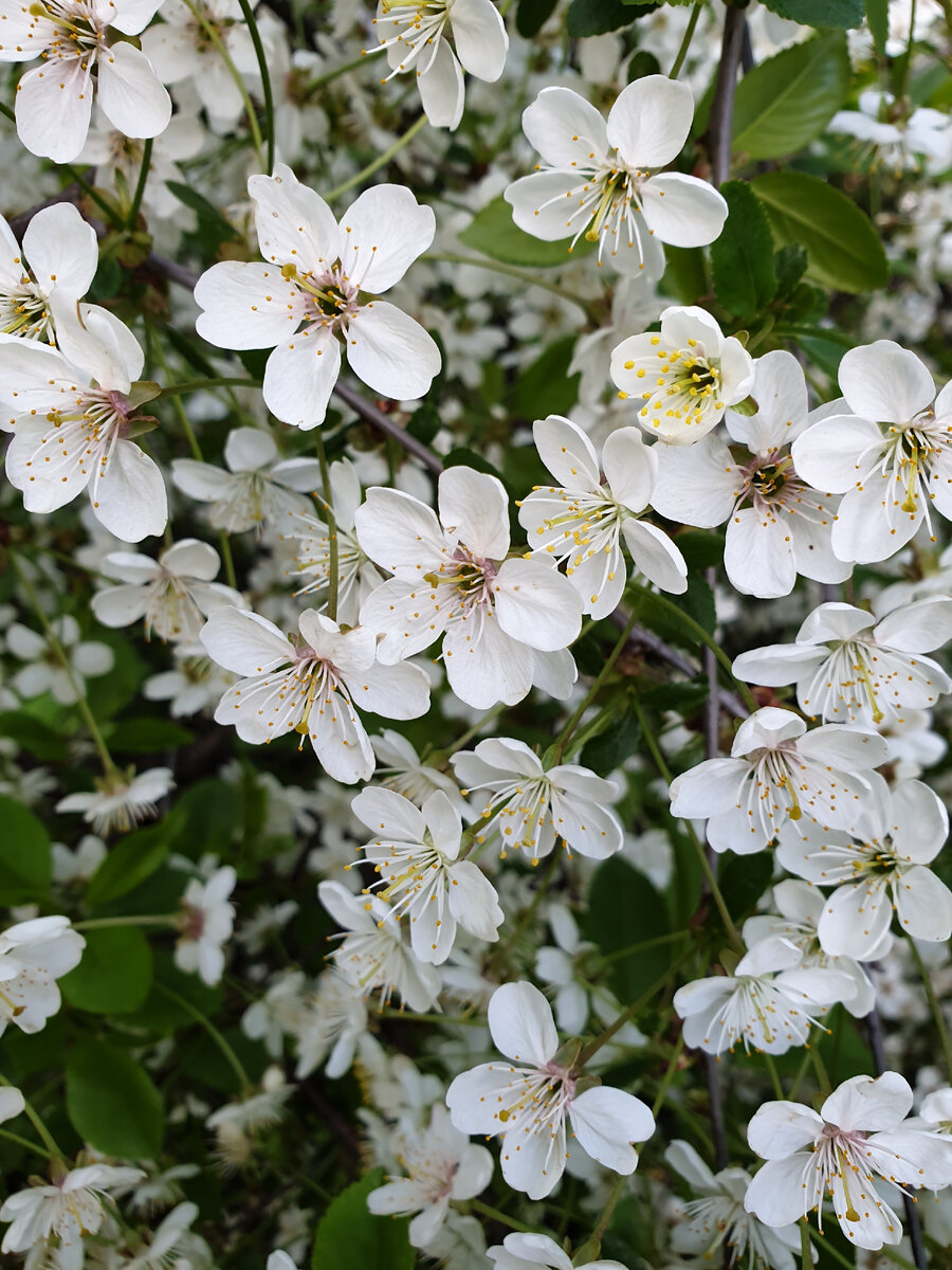Хорошо, что сейчас не серая и дождливая осень. 