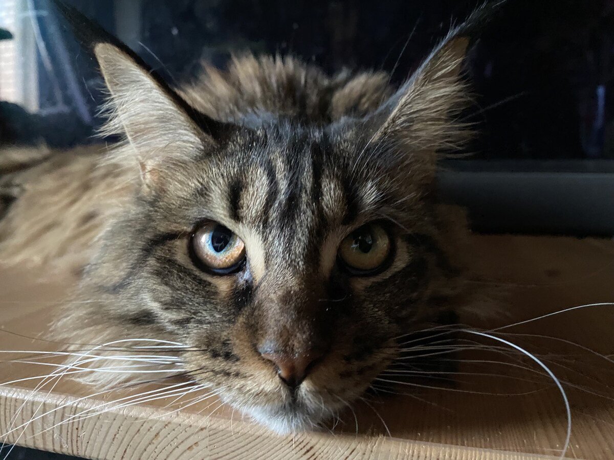 Фото из личного архива.