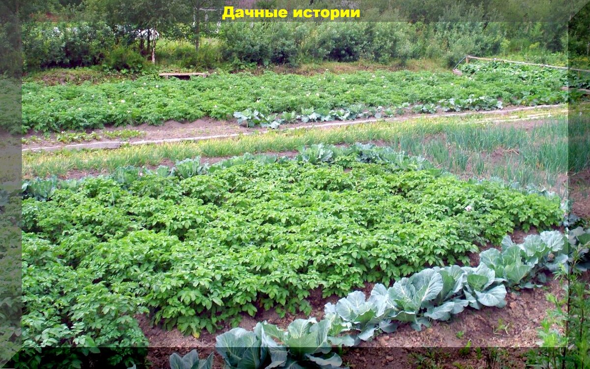 https://vk.com/photo-159774511_457253637