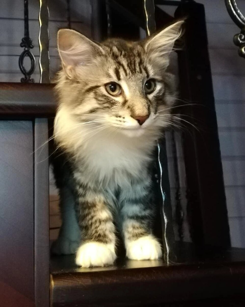 Маленький Валюша