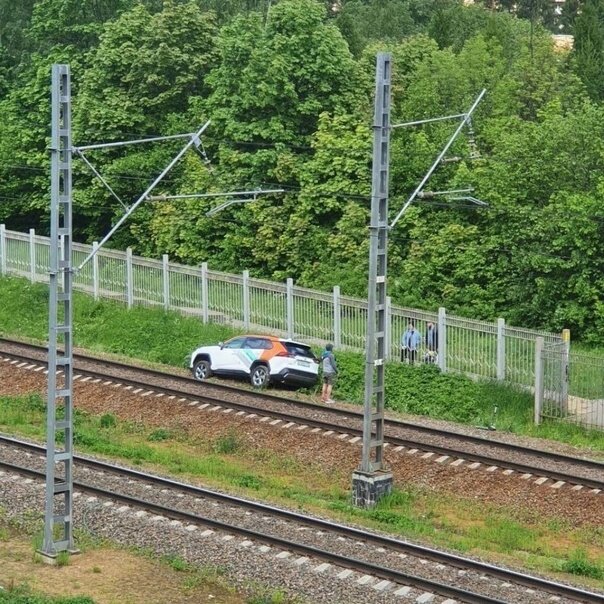 Яндекс Картинки