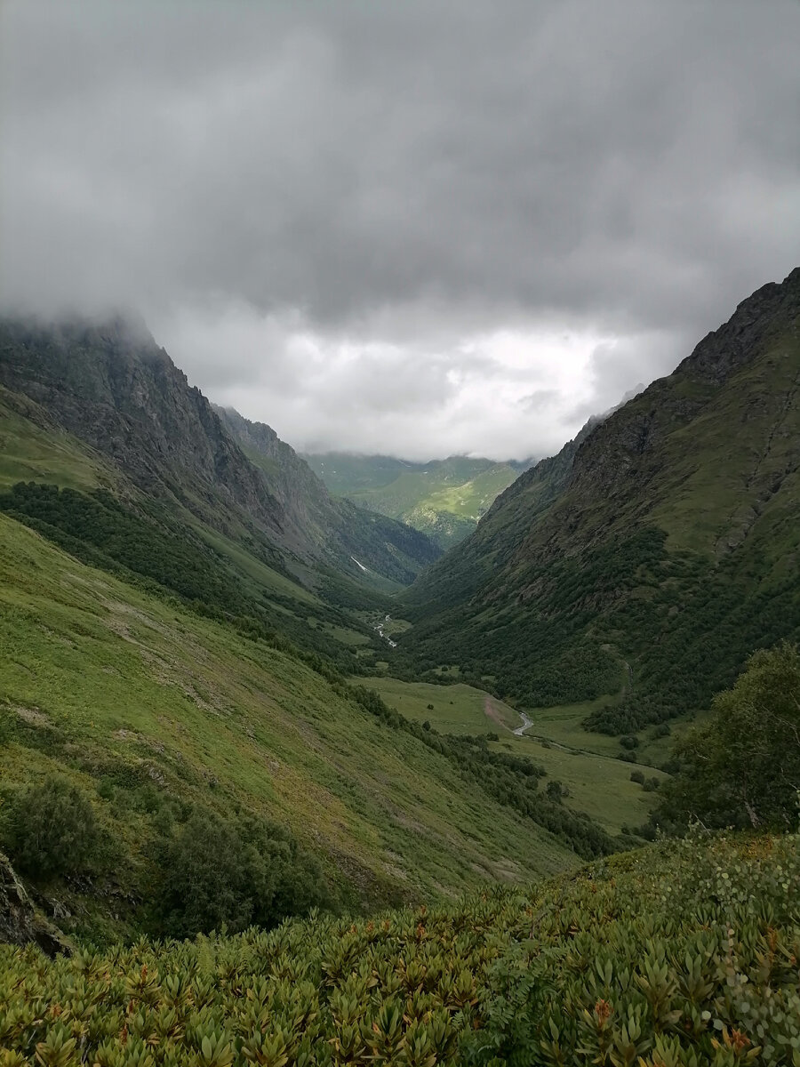 Псебай кавказский заповедник