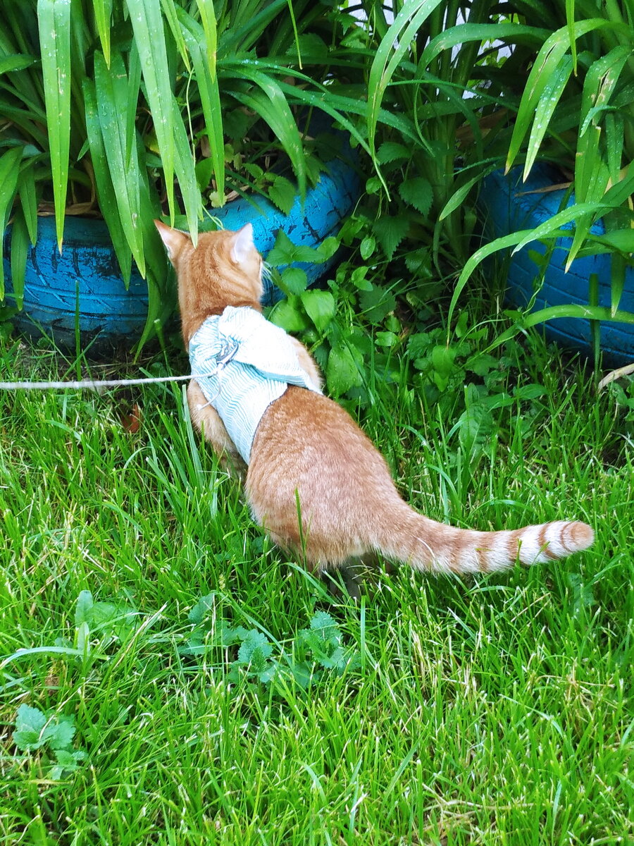 личное  фото.