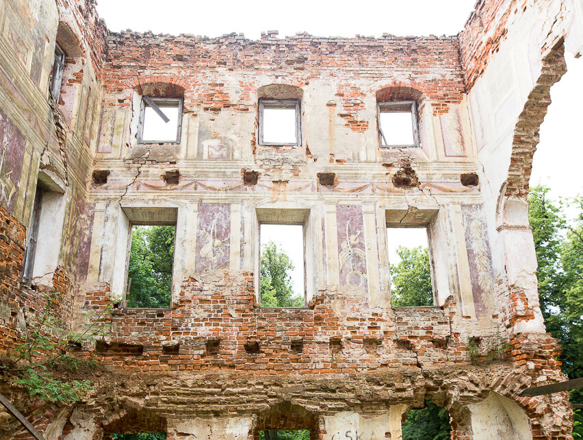 часть стен главного дома