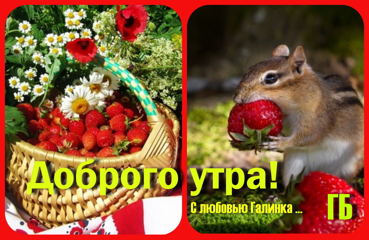 Доброе утро галинка картинки