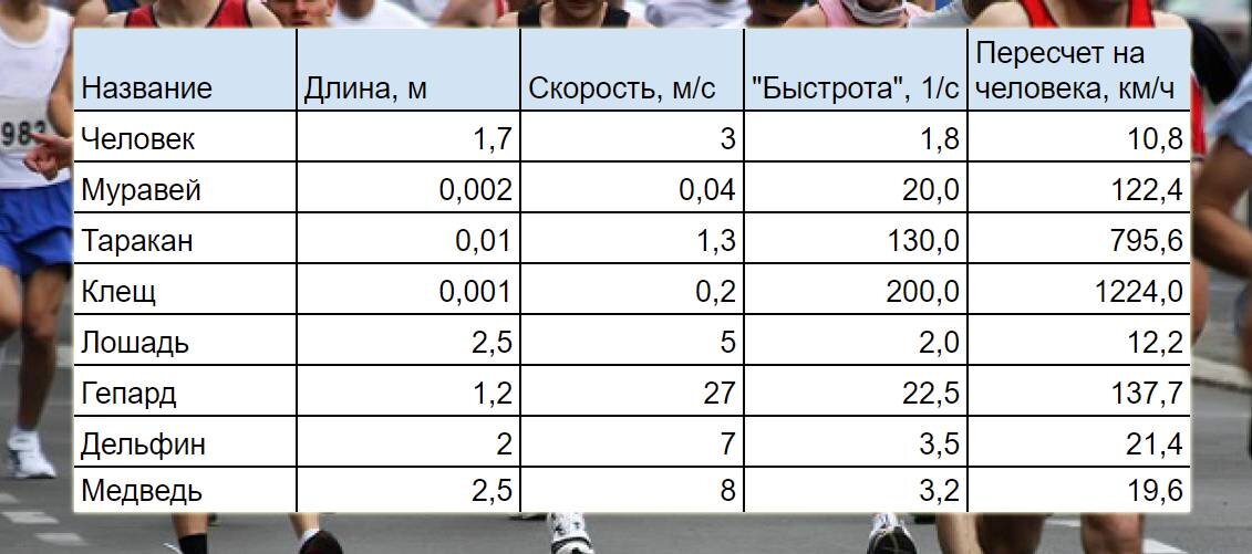 Скорости животных и пересчет на человека