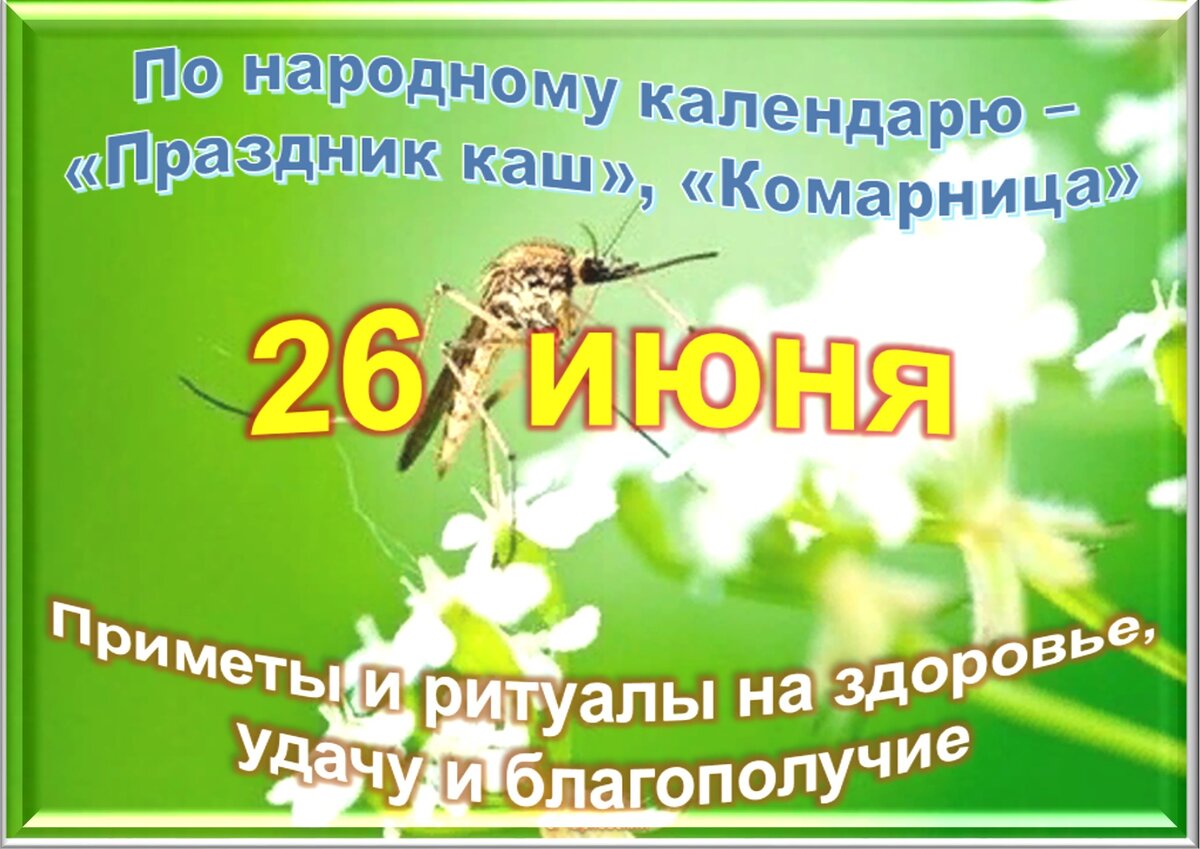 Календарь официальных праздников. Календарь праздников 26 июня. Праздники в июне. Календарь выходных 2016. Календарь праздников 26 июня.
