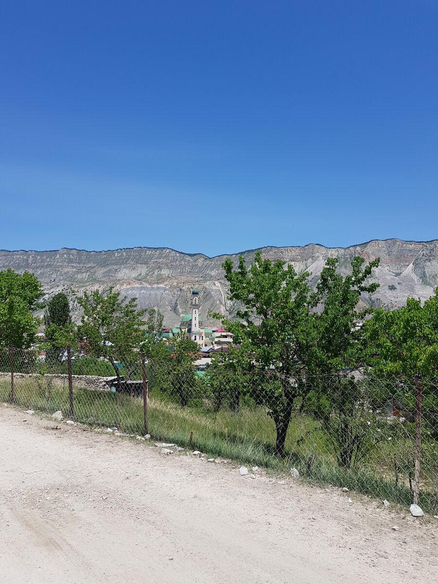 Вид на село Салта