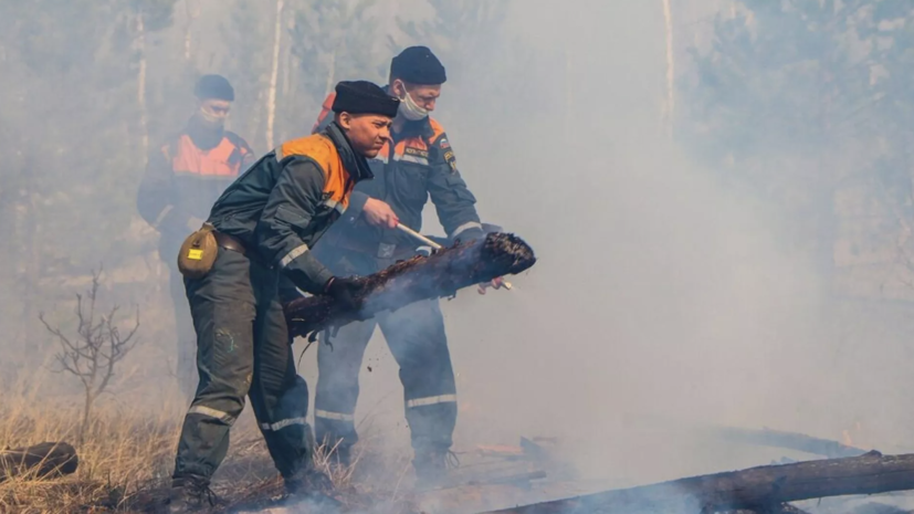    РИА Новости / Пресс-служба МЧС