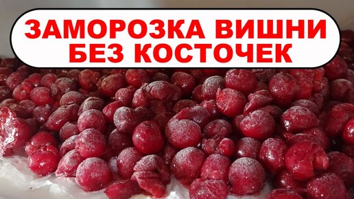 Рассказываю, как я замораживаю вишню с косточками и без них, плюс несколько лайфхаков. Заморозка вишни на зиму для пирогов и компотов