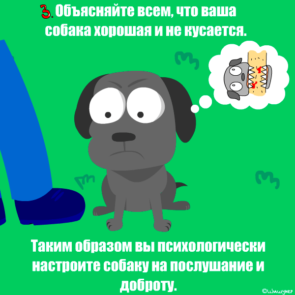 Если Вас просят придержать собаку - лучше это сделать. Не потому что Ваша собака плохая,  а потому что у многих людей присутствует паническая боязнь собак. И с такими людьми лучше разойтись, чтобы ни Вы им, ни они Вам не доставляли неудобств. 
