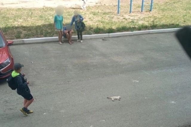    Правда ли, что на Урале живодёр получил реальный тюремный срок?