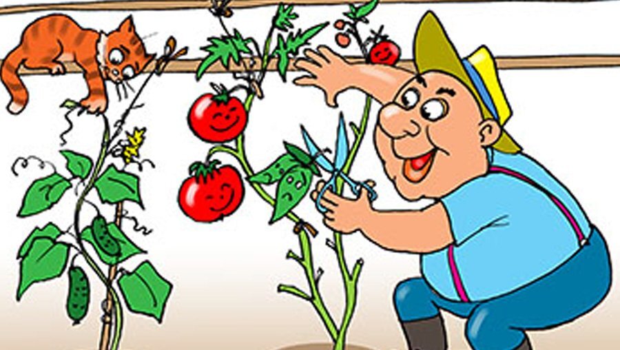 Из интернета