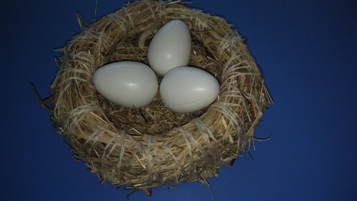 Как сделать гнездо для белого аиста