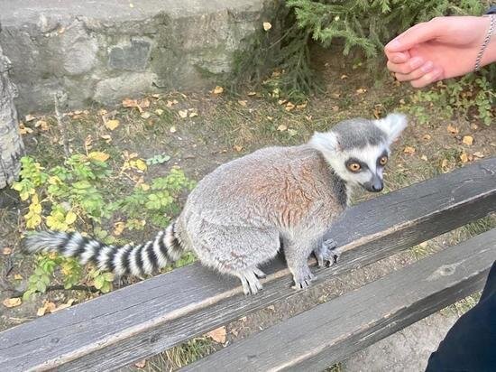     фото сиб.фм