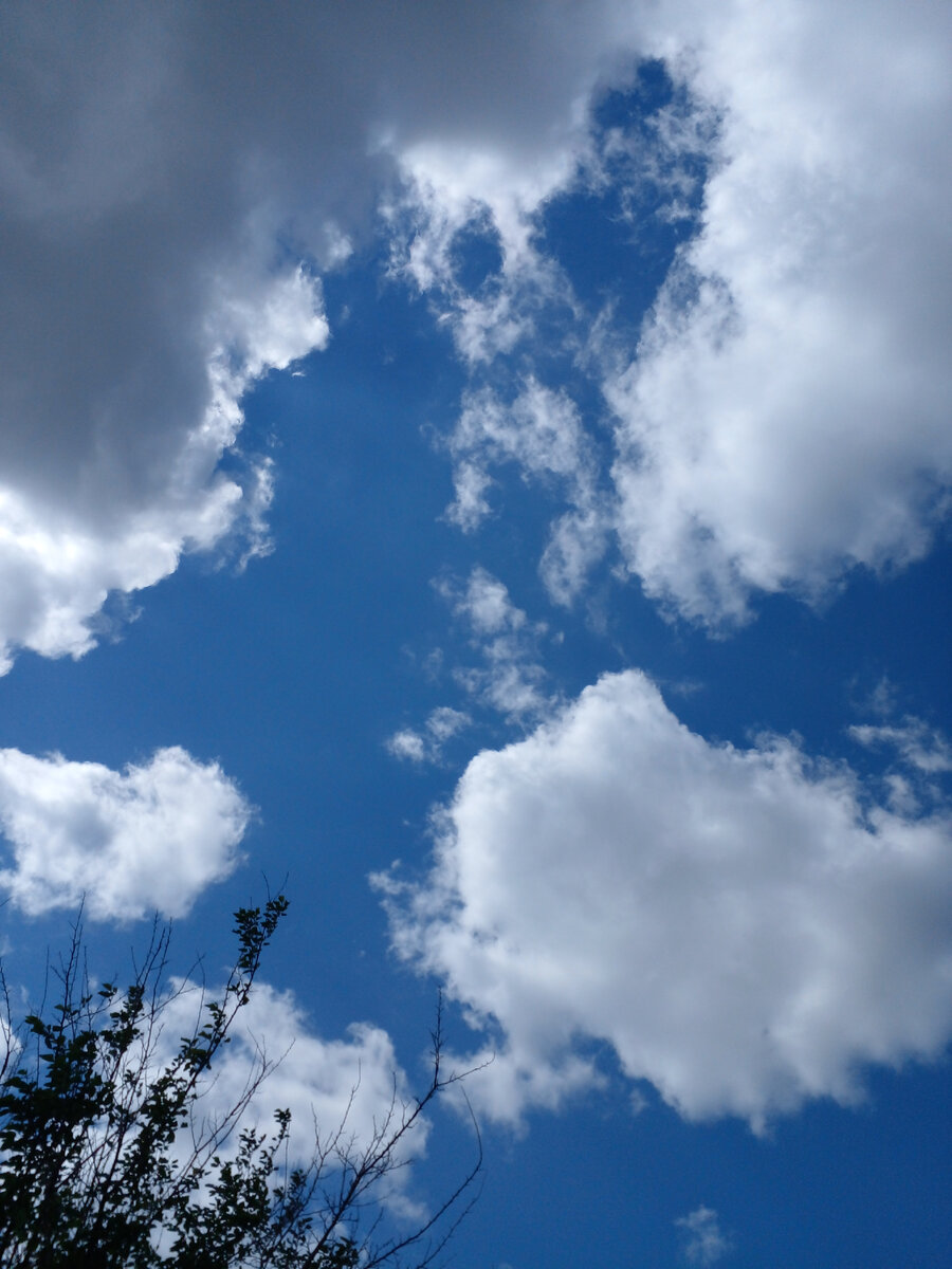 Медленно. Быстро. Запредельная скорость. Конец | Ирина Анатольевна | Дзен