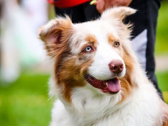   Наталья Мущинкина