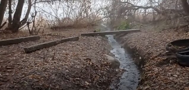 Фото и видео: сообщество «Левый Бийск»