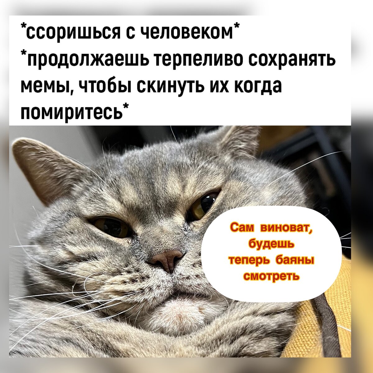 Немного холодно