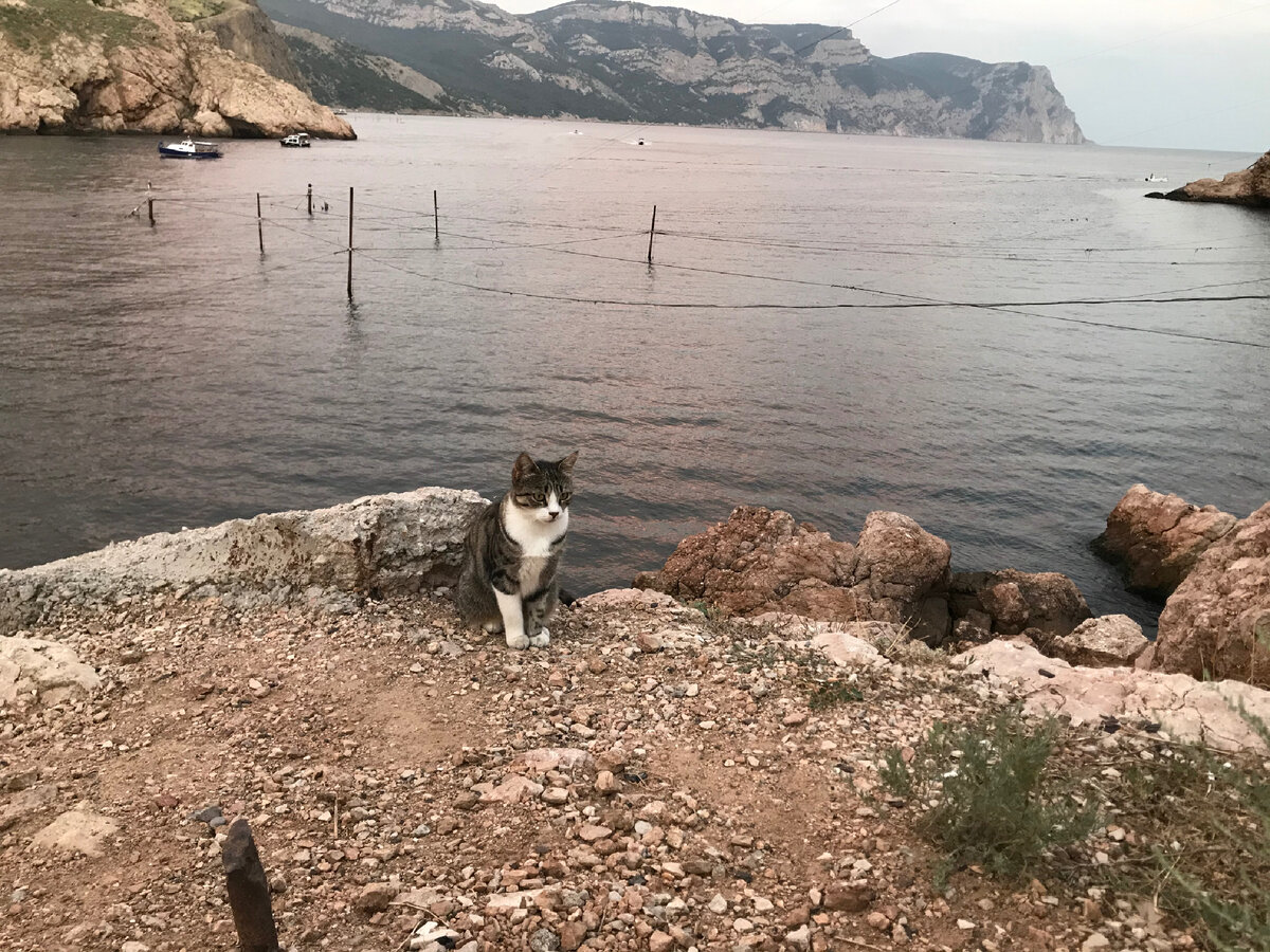 Балаклавская бухта