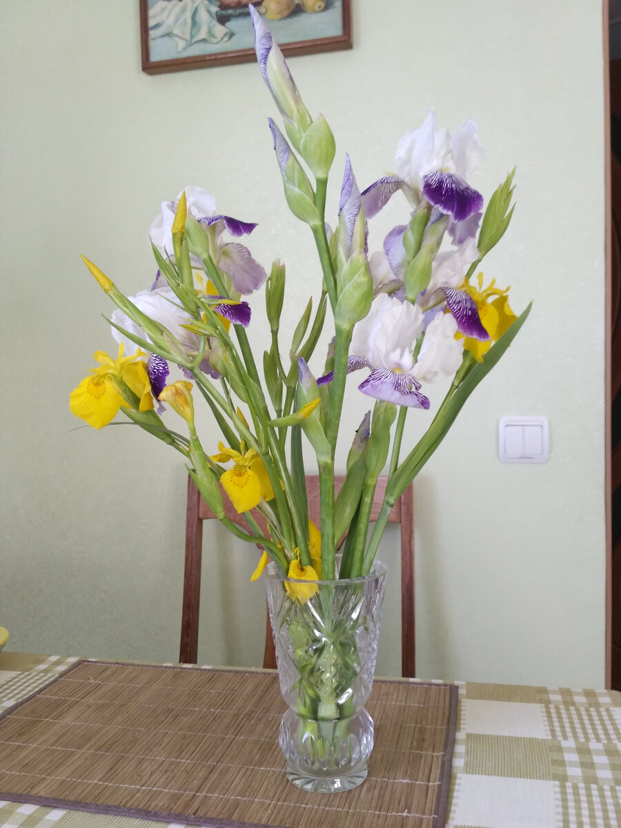 Букет из ирисов.