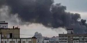    Фото: dzen.ru Валерия Трофимова
