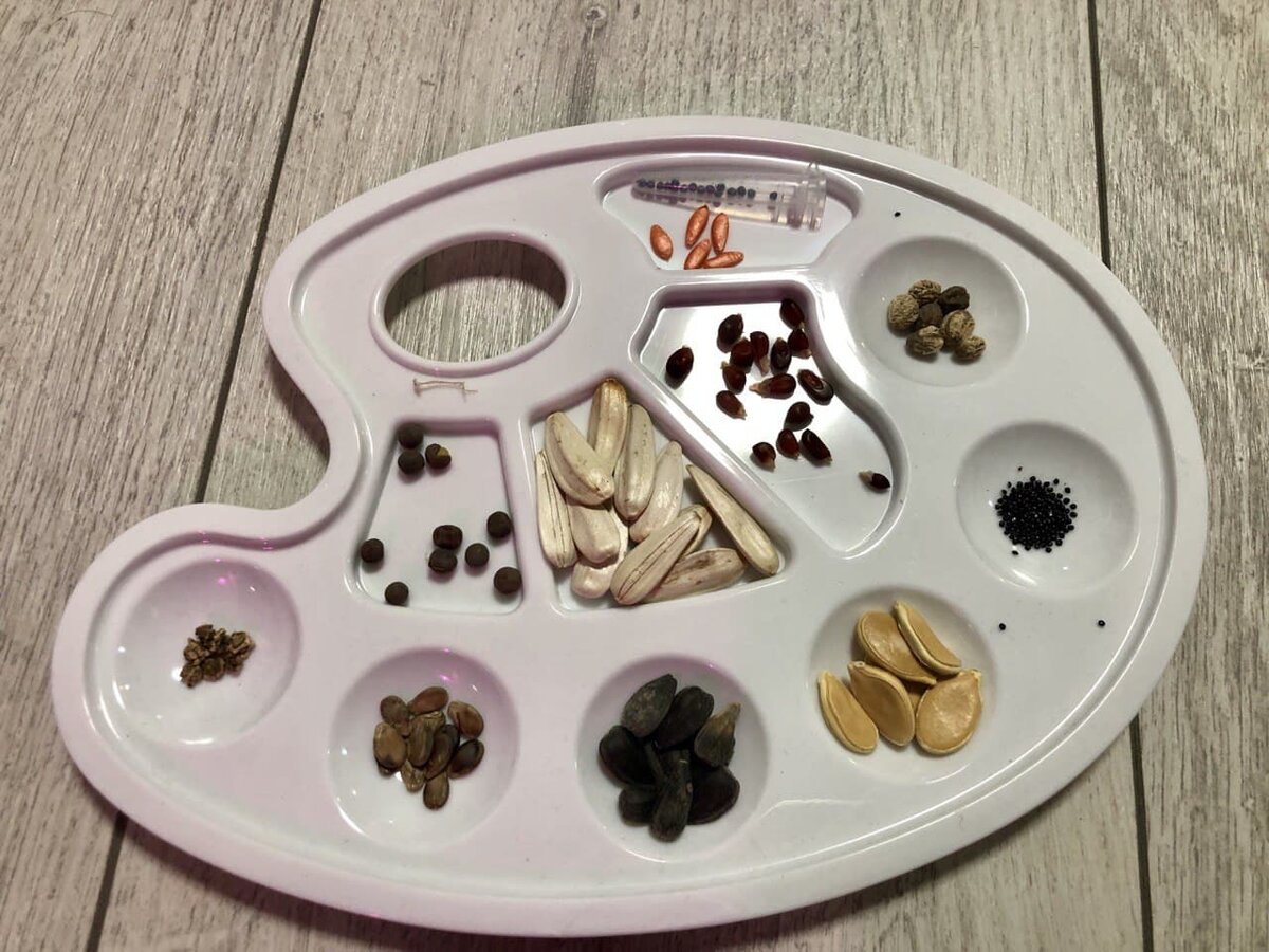 Семена разные и способы предпосевной обработки разные