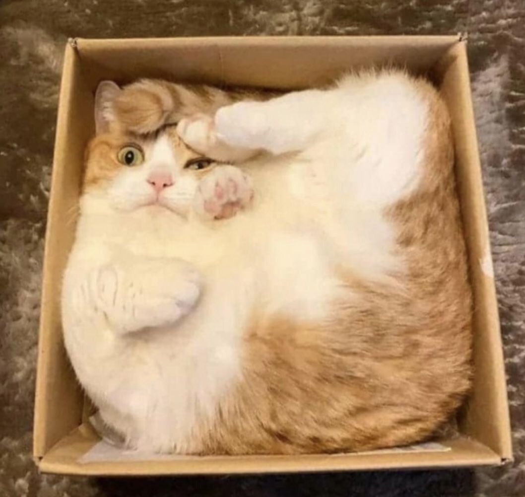 Изображение из свободного источника