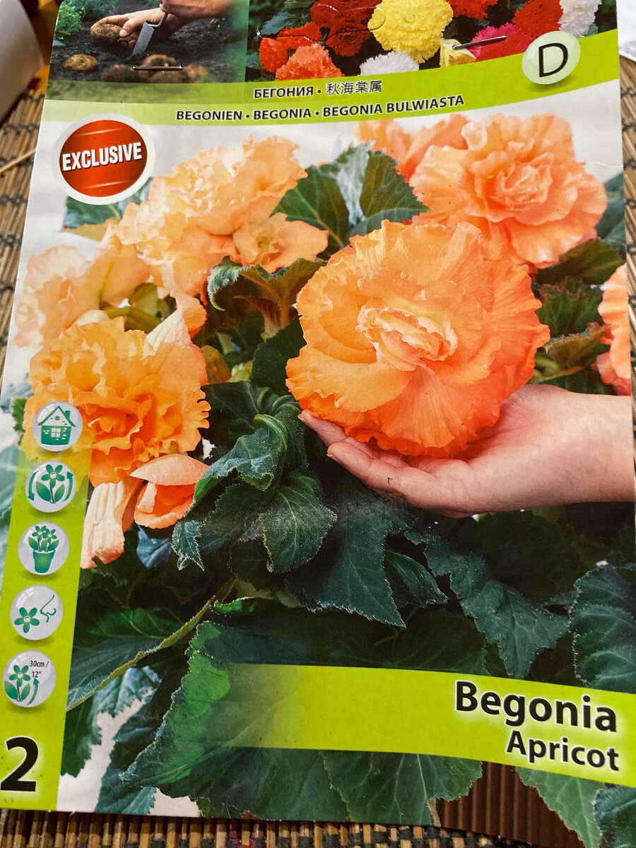 Слабо верится, что вырастет такая красота, но все может быть.