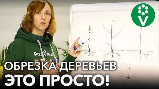 Как обрезать мололодые деревья в саду? Самое простое и понятное видео об обрезке для начинающих