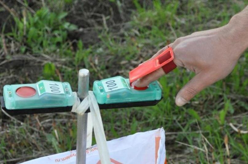 Чип для спортивного ориентирования. Чип SFR. Система электронной отметки для спортивного ориентирования. Чип СФР ориентирование. SFR система электронной отметки.