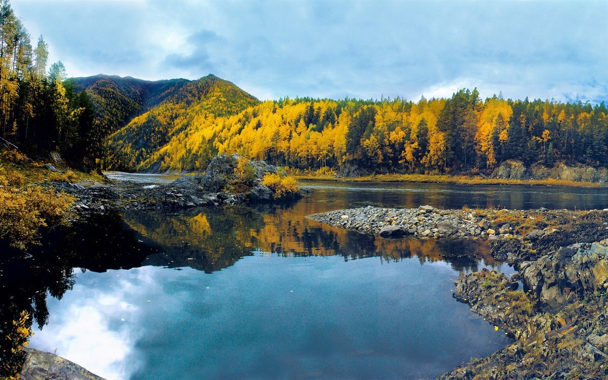 картинка яндекс.фото