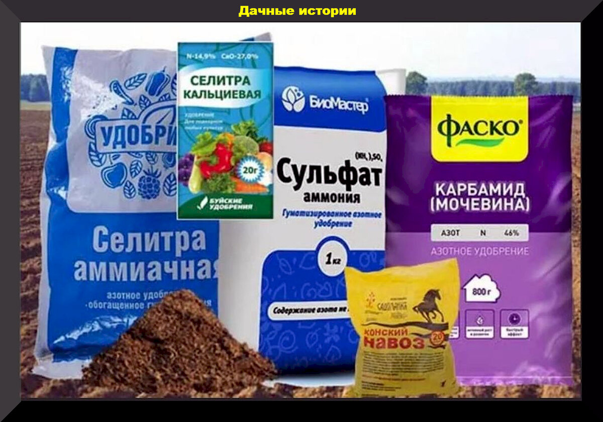 Содержащие азот. Азотные удобрения. Азотсодержащие Минеральные удобрения. Азот удобрение. Удобрения для растений.