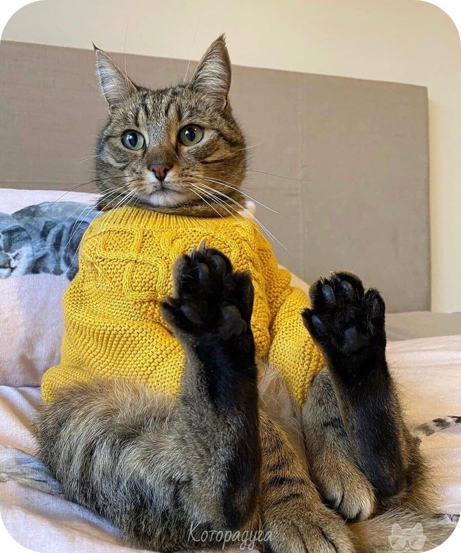 Источник: reddit.com