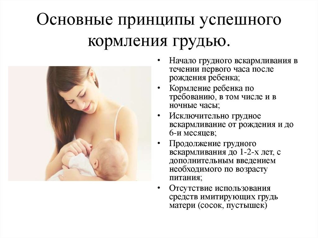 yandex.ru