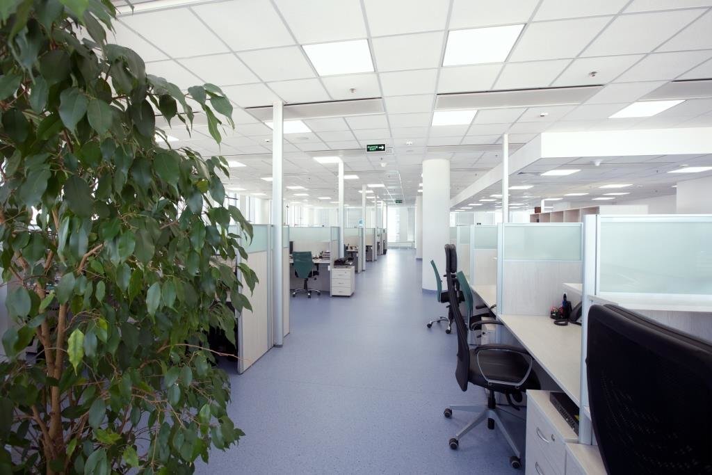 фото взято с просторов интернета. Благодарю автора за снимок.