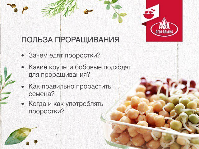 Бобовые продукты список с фото