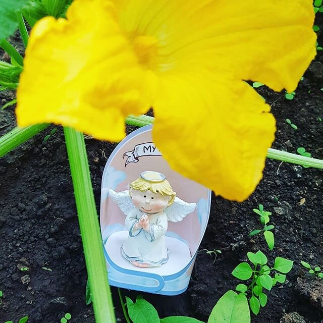 фото Лена Воронова