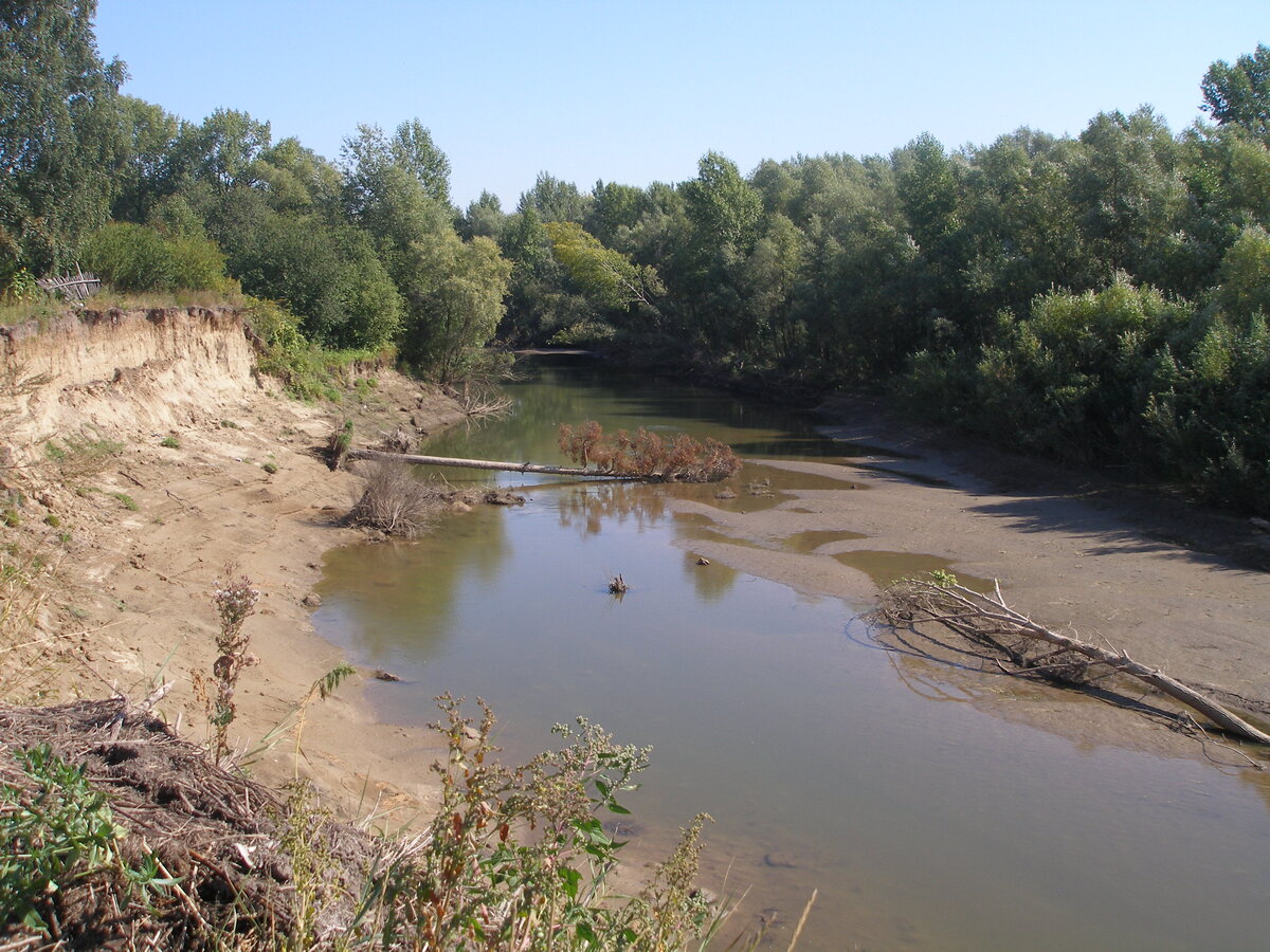 река юшатырь. вдали на крутом известковом берегу подмытом разливами. речная эрозия нижний новгород.
