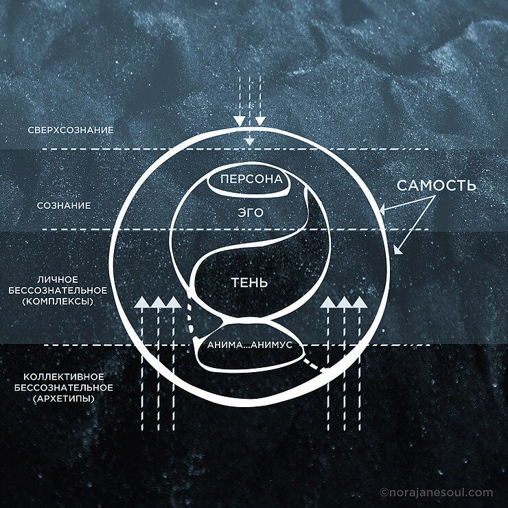 Психическая организация личности