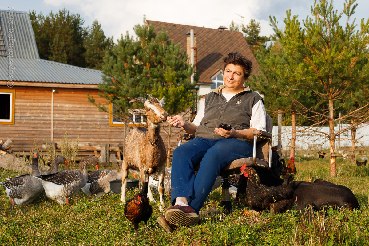 «Волшебные источники» чудесных лекарств — гуси, куры, козы