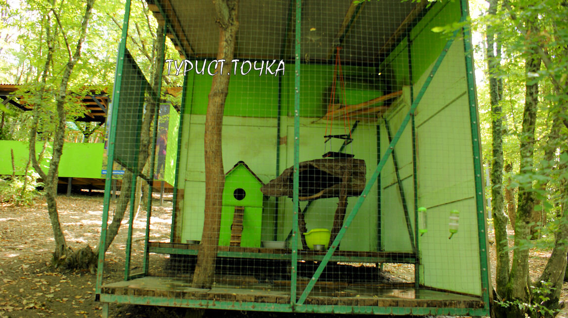 Интересные подборки про кошек и собак