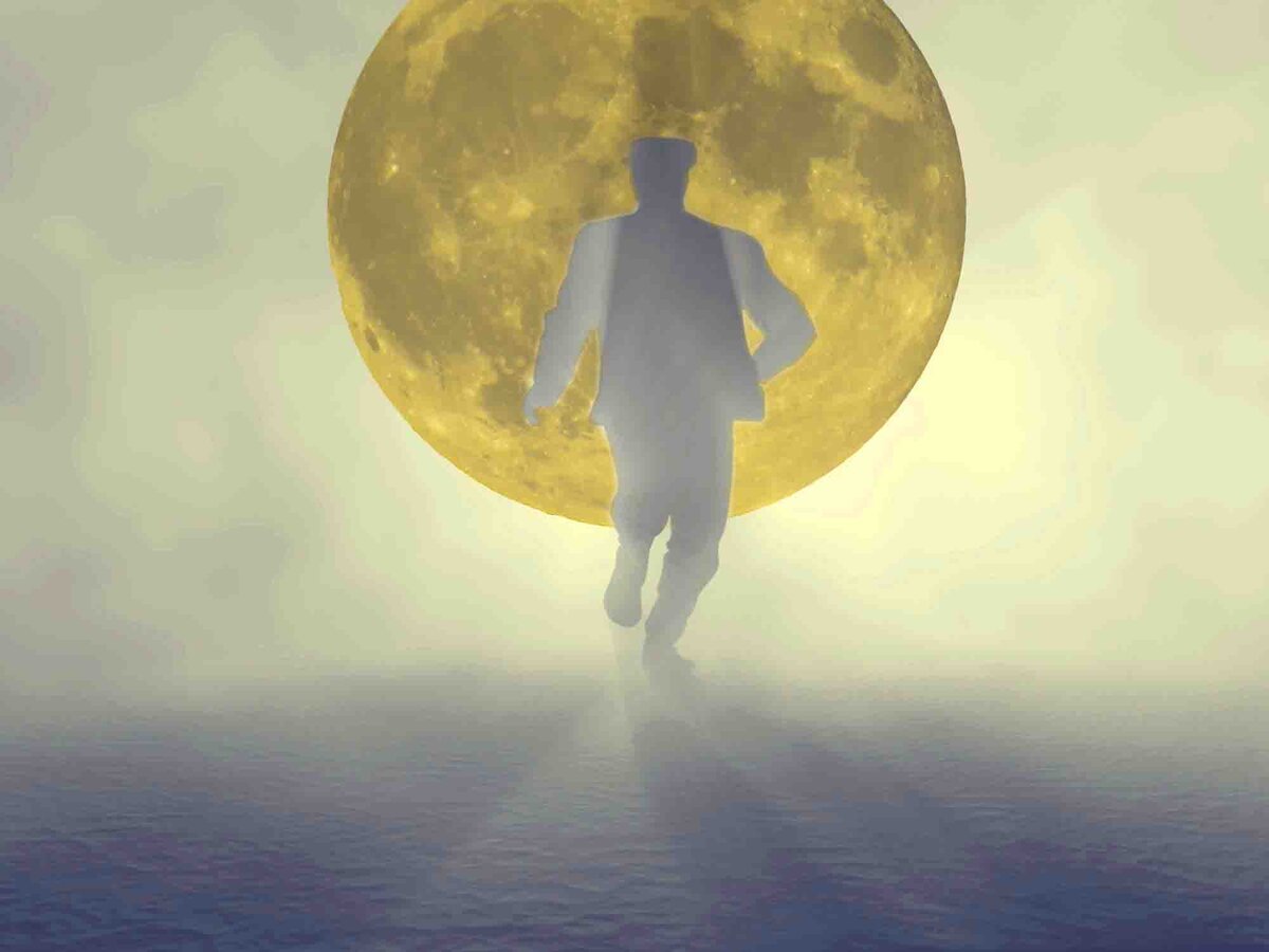 Фото коллаж мой ,из фото взятых  в ЯК,в свободном доступе.