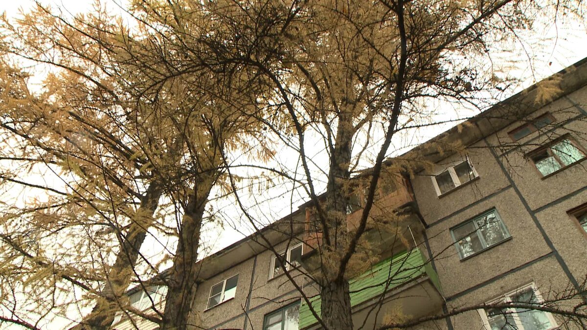 Фото: "Вести-Владимир"