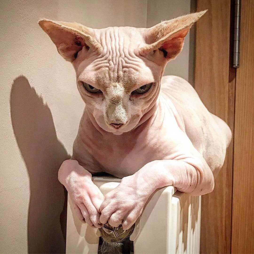 -2